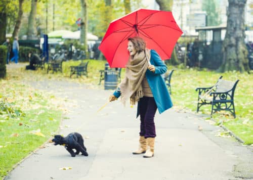 A woman walking her dog in a park in London